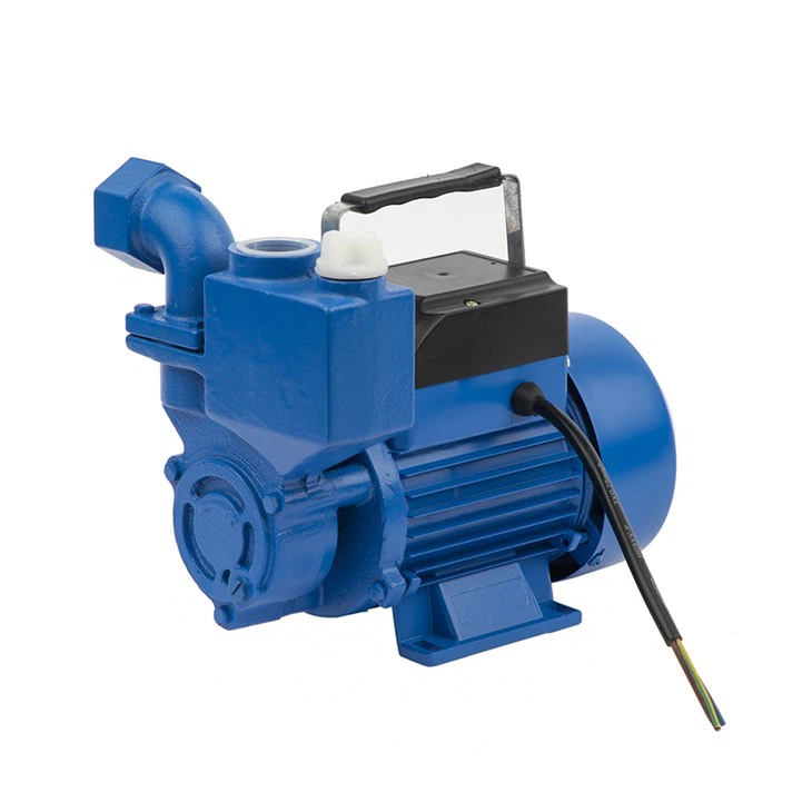 Bomba de agua periférica eléctrica de 1 pulgada 0.37KW 0.55KW 0.75KW para uso doméstico en granjas